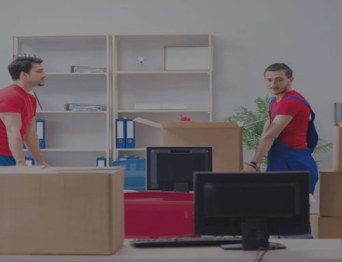 Movers and Packers in Palm Jumeirah Dubai